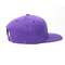 O acrílico de 100% personalizou chapéus do Snapback/tampão e chapéu do Snapback logotipo do bordado