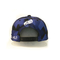 Chapéus lisos do Snapback da borda do bordado de OEM/ODM, chapéu colorido de 6 Snapbacks do painel