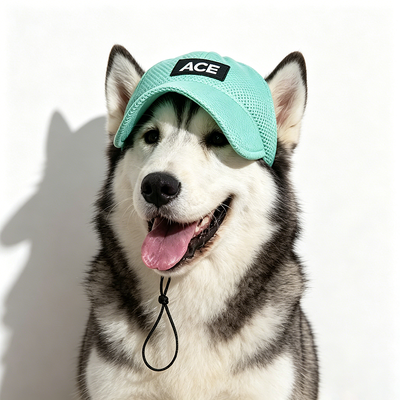 Chapéu para animais de estimação ao ar livre e interno adequado para cães pequenos O pacote inclui 1 chapéu para animais de estimação com alça ajustável para ajuste seguro