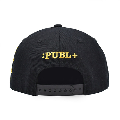 Custom 5 Painel Simples Chapéu Snapback 3d bordado Gorras Chapéu Snapback Trucker