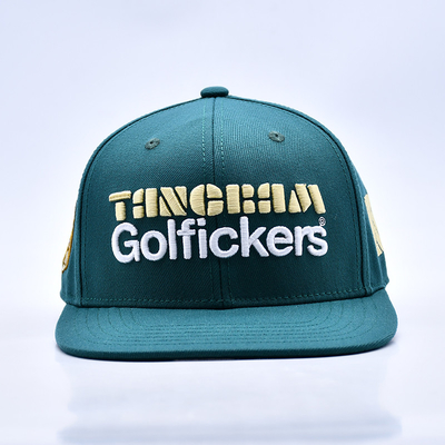 Logotipo de bordado 3D de qualidade elegante 6 painéis Chapéu Snapback Venda Quente