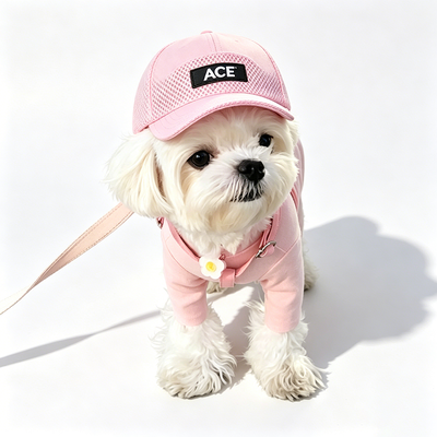 50 gramas de algodão lindo pet chapéu versátil design combinações várias roupas e personalidades de animais de estimação presente perfeito