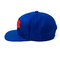 Dos azuis marinhos lisos dos chapéus do Snapback da borda do tamanho 58cm logotipo plástico de Eagle da curvatura
